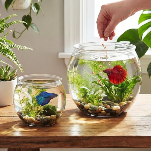 2 Pack Clear Plastic Fish Bowls, 1.5 Gallon & 0.8 Gallon Shatterproof Round Tank for Tabletop Mini Ecosystem, Terrarium, Flower Vase, Centerpiece Decor, Temporary Habitat, Gift for Fish Lovers - size: 1.5 Gallon + 0.8 Gallon