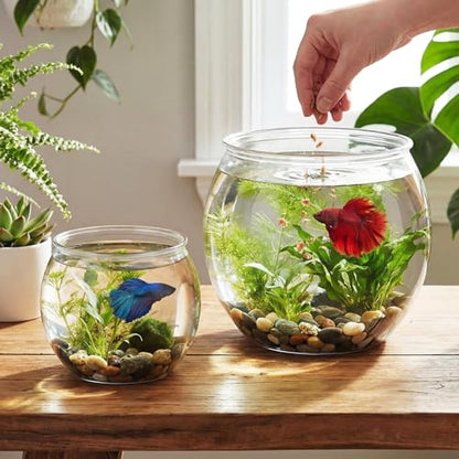 2 Pack Clear Plastic Fish Bowls, 1.5 Gallon & 0.8 Gallon Shatterproof Round Tank for Tabletop Mini Ecosystem, Terrarium, Flower Vase, Centerpiece Decor, Temporary Habitat, Gift for Fish Lovers - size: 1.5 Gallon + 0.8 Gallon