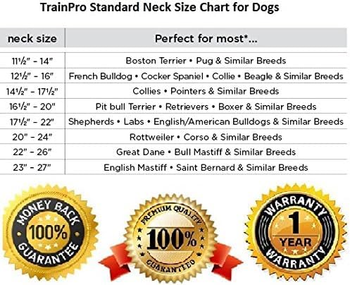 Waterproof TPU Replacement Strap for Dog Training Collar, 27.5 in - color: Orange Reflect