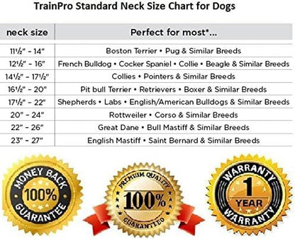 Waterproof TPU Replacement Strap for Dog Training Collar, 27.5 in - color: Pink Reflect