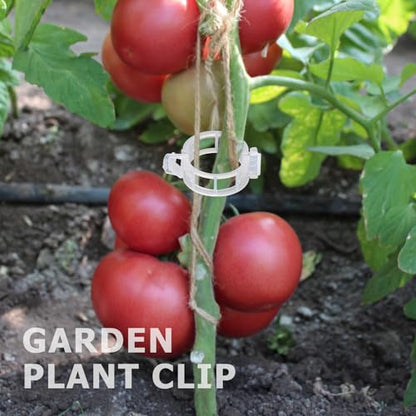 400PCS Plant Support Clips, White Plastic Garden Clips for Tomato Cucumber Flower Squash Vine, 1.2' Inner Diameter - color: White 400pcs