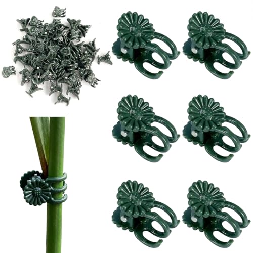 100 Pcs Plant Clips for Climbing Plants, GPlastic Plant Support Clips for Greenhouse and Balcony Gardening