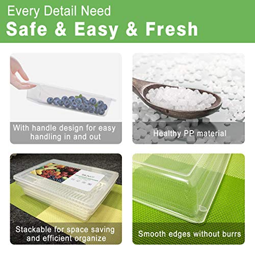 Fridge Produce Saver Containers (3 Pack) - 2.5L Drain Tray Keeps Veggies, Fruits, Lettuce Fresh