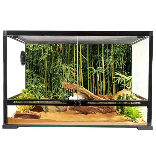 YongFoto Reptile Tank Terrarium Background 48x24 inch Bamboo Forest Green Bamboo Nature Scenery Reptile Habitat Background Bearded Dragon Fish Tank Aquarium Polyester Backdrop
