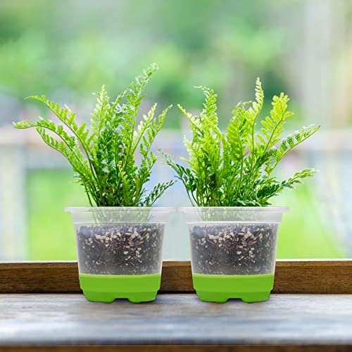 MIXC Thickened Clear Nursery Pots with Silicone Base for Easy Transplant 30 Packs 4 Inch, Transparent Plant Pot Reusable Seedling Pots for Vegetable Propagation, Root Cutting, Seed Starting, Green
