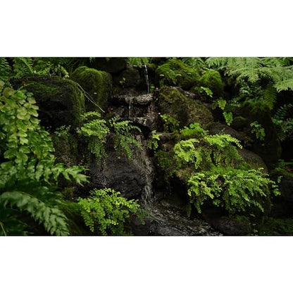 Waterfall Aquarium Background Tropical Jungle Rainforest Fish Tank Background Cascading Waterfalls Lush Green Moss Plants Leaves Terrarium Backgrounds Fantasy Forests Reptile Tank Backgrounds 30x18in