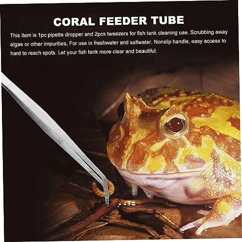 3pcs Aquarium Tweezers Straight Curved Stainless Steel Tools for Fish Tank Cleaning Coral Feeding and Gravel Maintenance Lightweight Siphon and Feeding