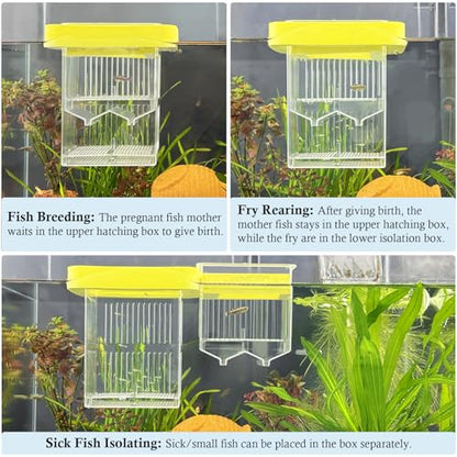 Floating Breeder Box for Fish Tank, Small Fish Tank with Hatchery Incubator and Divider Isolation Box, Fish Tank Separator for Guppy, Betta, Clownfish, Coral, Baby & Injured Fish