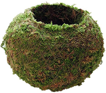 Moss Ball Flower Pot Natural Planter Bonsai Plant Holder Bird Nest for DIY Gardening Home Table Decoration - 18cm
