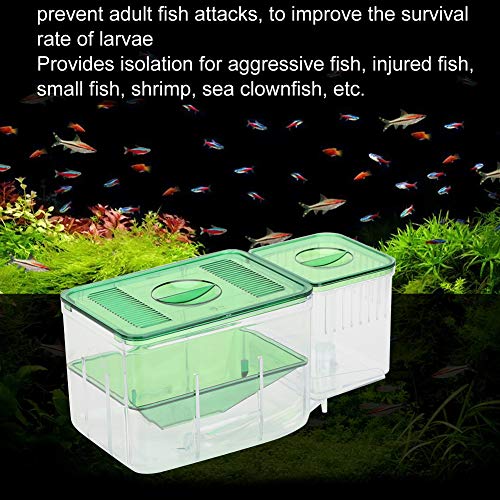 Fish Breeding Box, Transparent Aquarium Little Fish Breeding Hatching Box, Fish Tanks Double Layer Isolation Box Hatchery Incubator for Injured Small Fish Shrimp