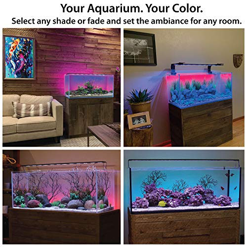 CURRENT USA 48" Serene Aquarium LED Background Light Kit | Fish Tank Lighting Backdrop Decoration Black 3D 40, 55, 75, 90 Gallon Tank (3153)