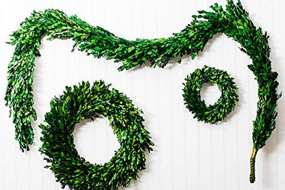 Richland Preserved Boxwood Garland 70" Set of 4 - color: Green, size: 70'' (Set 4)