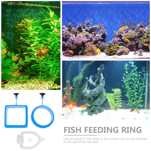 Toddmomy 3pcs Floating Fish Feeder Rings Aquarium Feeding Rings Blue Thickened Square Round Anti-Diffusion Circles Reusable Fish Tank Accessories for Professional Aquatic Pet Feeding
