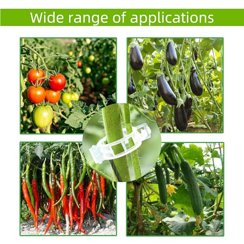 CIQIYO® 200 Pcs Plant Support Clips,Plastic Clips for Securing Plants,Tomato Vine Clips,Plant Fixing Clips,Garden Clips for Climbing Plants,Grape and Vine Vegetables (200, Green)
