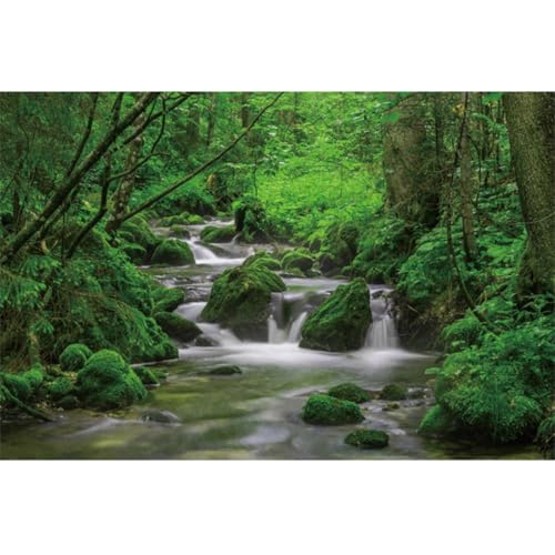 YongFoto Jungle Flowing Stream Forest Waterfall Backdrop 8x6.5ft Tropical Rainforest River Rock Moss Spring Nature Scenery Photography Background Party Banner Room Decor Portrait Photoshoot Wallpaper - color: Style 1, size: 8ftx6.5ft