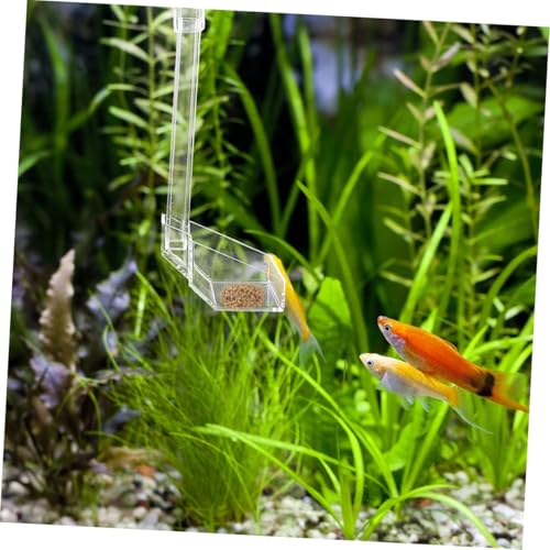 Acrylic Fish Feeder Tube 28cm Aquarium Shrimp Feeding Dispenser for Fish Tank Vacation Feeding