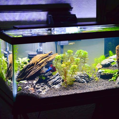BESPORTBLE Fish Tank Mat 15.74X11.81In Aquarium Leveling Pad Thick Foam Cushion Non-Slip Shock Absorbing Aquarium Bottom Pad for 20 Gallon Fish Tanks