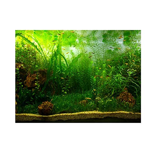 Zerodis PVC Aquarium Background Poster, Water Grass, Yellow, Rectangular, 122*61cm, 135g, Fish Decorative Stickers, Aquarium Decoration