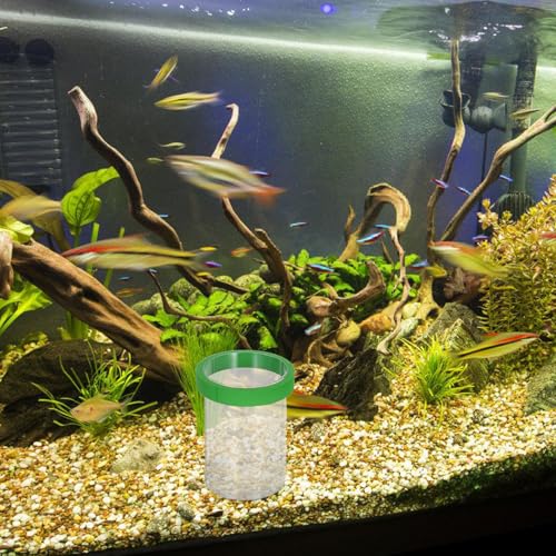 DOITOOL Floating Fish Tank Isolation Box Aquarium Egg Incubator Breeding Box Green Small Guppy and Small Fish Aquatic Hatchery Kit