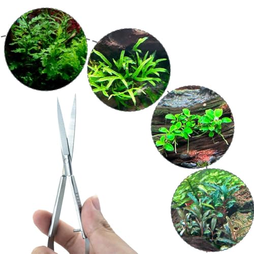 LINLAN Aquatic Plant Spring Scissors for Precise Trimming, Stainless Steel with Top Rebound Feel, Ideal for Aquatic Ferns and Microsorum Pteropus in Planted Tanks