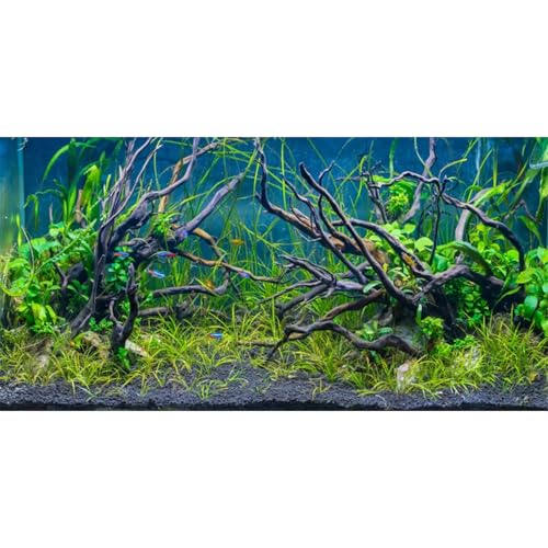 AWERT 48x24 inches Tropical Fish Tank Background River Bed & Lake Aquatic Plant Undersea Tree Branch Aquarium Background Vinyl - size: 48x24in/120x60cm