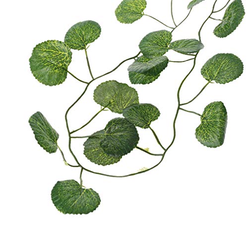 Aquarium Climbing Terrarium Plant Fish for Decoration Terrarium for Snake