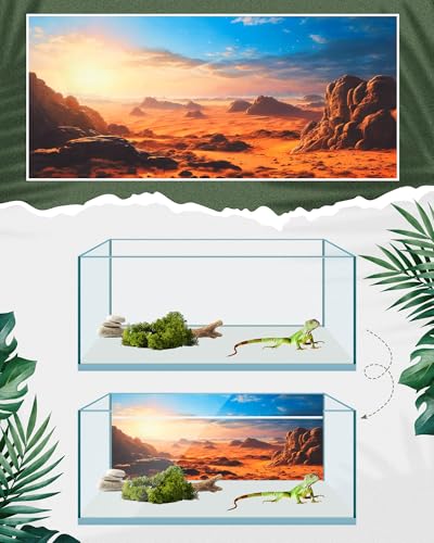4 Pcs 48 x 18 Inch Reptile Habitat Background with Nano Glue Gobi Sun Cactus Stone and Green Tree Fern Stream Terrarium Background Polyester Durable Aquarium Accessories
