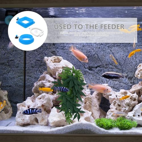 3pcs Aquarium Fish Feeding Rings Set Floating Plastic Fish Feeder Circles for Small Tanks Anti-Diffusion Blue Aquarium Accessories for Tank Feeding