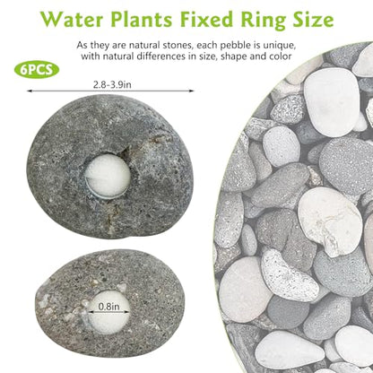 Drilled Pebble Aquatic Plant Anchors Water Plants Fixed Ring Natural River Stone Plant Weights for Fish Tank Aquarium Decorations Landscape Stones(Aperture: 0.8" 1hole 6pcs)