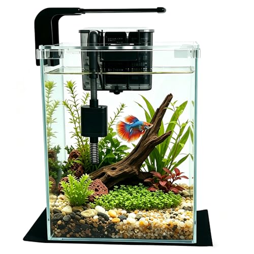 5 Gallon Glass Fish Tank with Filter and Light, Small Betta Aquariums Starter Kit. - size: 5 Gallon