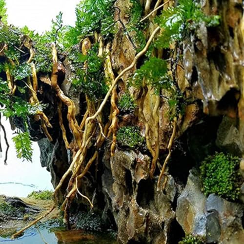 Aquarium Driftwood Roots for aquascaping - 160g Mix Natural Wood Roots for Aquarium aquascaping, aquascaper Essentials Driftwood Roots