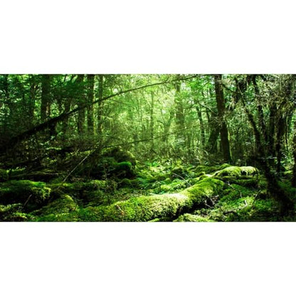 AWERT Vinyl 36x24 inches Tropical Terrarium Background Rainforest Aquarium Background Green Tree Reptile Habitat Background