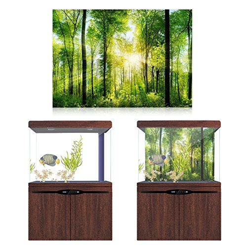 FILFEEL Aquarium Decor Background 3D Effect Fish Poster PVC Adhesive Decor Sticker Paper Cling Decals Sunshine and Forest (122 x 50cm)
