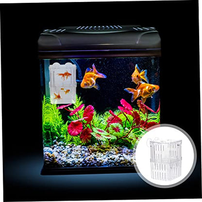 Healifty 3pcs Breeding Box Isolation Container for Aquarium Tank Small Hatchery Nursery Divider for Safe Fish Separation and Acclimation
