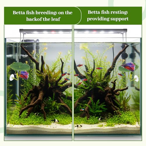 CZFSWT 4PCS Betta Hammock Set, Betta Tank Accessories, Fish Hammock Suitable for Fish Farmers, Aquarium Enthusiasts and First-Time Breeders