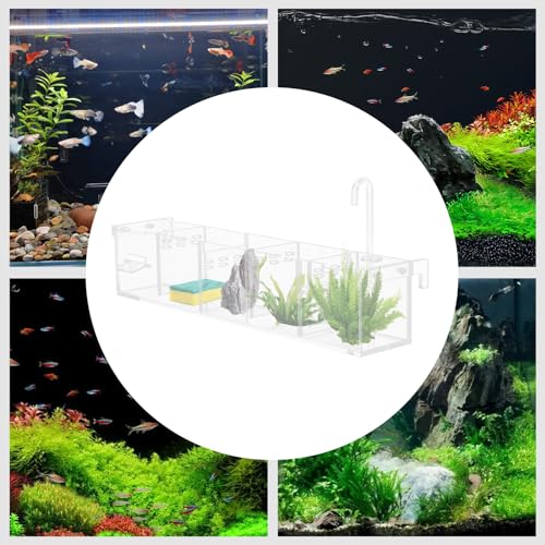 Acrylic Aquarium Box Filter, 5 Grids Small Aquarium Filter Fish Tank Filter Box Drainage Plate Clear Shell Hanging Mounting (Suitable Thickness of Tank: 10mm/0.39in)