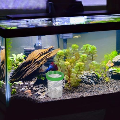 Fish Breeding Isolation Box with Divider and Floating Egg Net Small Aquarium Hatchery Incubator for Guppy Fry and Small Fish Nursery Green Compact Fry Box