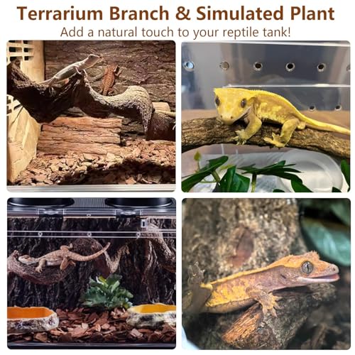 2Pcs Reptile Climbing Branches Decor,2.5-3.25" Think Snake Climbing Branch,Gecko Climb Wood,Lizard Bold Forest Branch,Tank Habitat Tree Trunk Decorations for Bearded Dragons,Chameleons,Frogs - size: 2PCS|XL:2.50-3.25"D,13"L