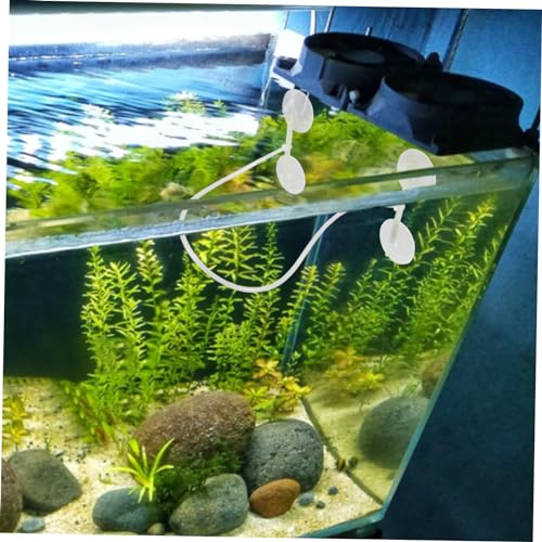 BESPORTBLE Aquarium Floating Feeder Plant Floating Feeding Fish Divider for Freshwater Tank