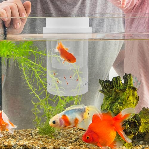 Floating Fish Fry Incubation Box Coarse and Fine Mesh Aquarium Divider for Betta Guppy Shrimp Breeding, Plastic Floating Hatchery Isolation Box for Fish Tank Nursery