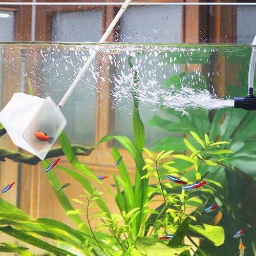 6 Pcs Fish Net for Fish Tank Extendable Stainless Steel Handle Small Tank Tool for Shrimp Bettas Brine (Square and Round)