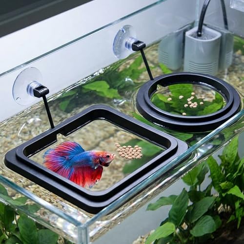 2PCS Fish Feeding Ring, Square and Round Aquarium Feeding Ring with Suction Cup for Betta Goldfish Guppy Turtle, Floating Fishes Feeder Rings for Fish Tank (Black)