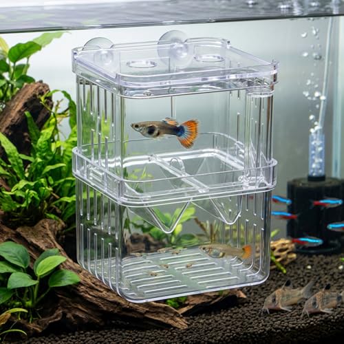 Aquarium Breeder Box, Breeder Box for Fish Tank 2 Layer Transparent Aquarium with Sucrion Cups Plastic Fish Breeding Boxes for Small Shrimp Clown Guppies