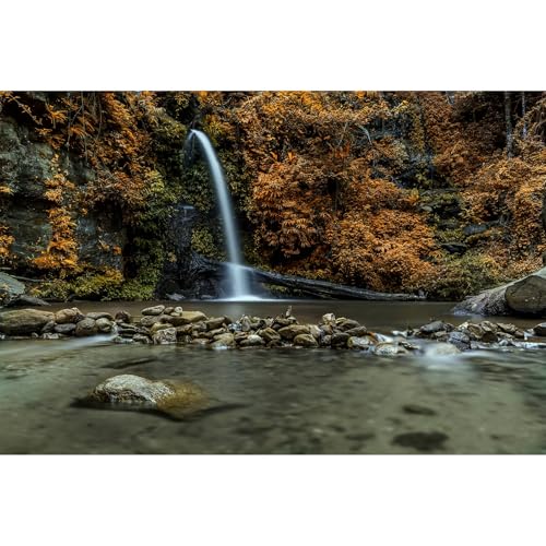 Waterfall Aquarium Background Natural Autumn Forest Yellow Leaves Landscape Terrarium Background Tranquil Lake Stream with Rocks Fish Tank Background Falls Theme Aquarium Backdrop Vinyl 30x12in - color: Brown, size: 30(W)x12(H)in