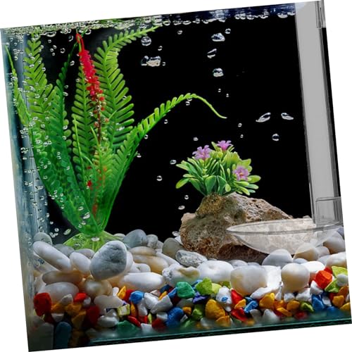 VANZACK 1set Hanging Fish Feeder Tool for Aquarium Acrylic Shrimp Feeder Easy Installation for Fish Tanks and Aquatic Environments