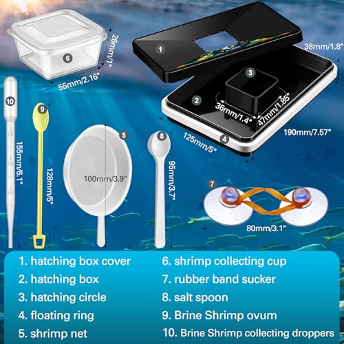 Brine Shrimp Hatchery Incubator Kit Dish, Efficient and Easy Brine Shrimp Hatchery Collect with Net, Measuring Cup, Eggs Spoon, Dropper