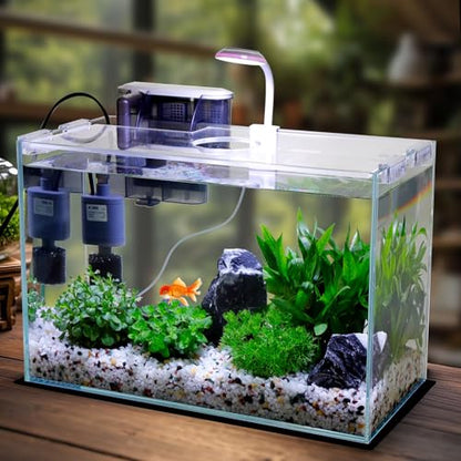 5 Gallon Glass Small Fish Tank with Filter Light and Lid, Betta Aquarium Starter Kits - size: 5 Gallon