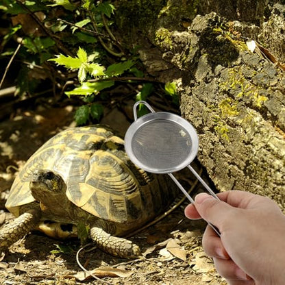 POPETPOP 2pcs Stainless Steel Reptile Litter Scoop Durable Sand Shovel with Fine Mesh for Efficient Excrement Cleaning Terrariums and Aquariums