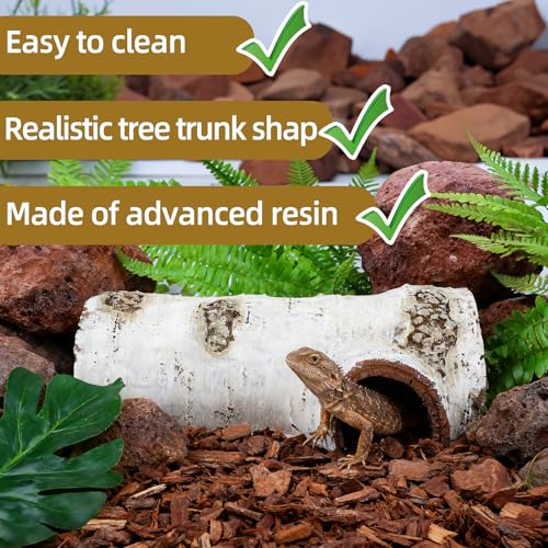 Natural Reptile Hide Basking Platform, Hideout Decor for Aquarium, Fish Tank, Bearded Dragon, Gecko, Shrimp, Betta (Birch Tree Hiding Cave, Small)