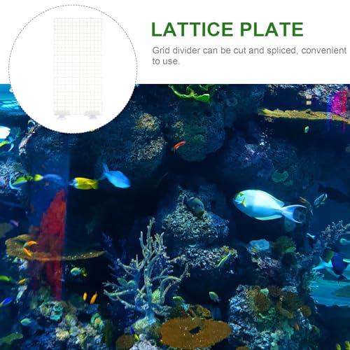 POPETPOP Plastic Grid 1 Set Plastic Fish Tank Trays 75 Gallon Aquarium Lid Aquarium Divider Fish Tank Supplies Splitter Partition Plate Dividing Line Water Tank Stitching Egg Crates